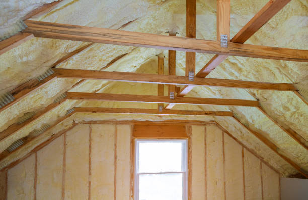 Best Attic Insulation Installation  in Chebanse, IL