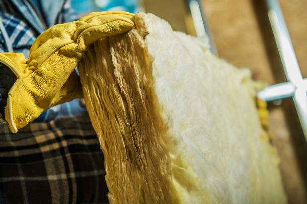 Best Crawl Space Insulation  in Chebanse, IL