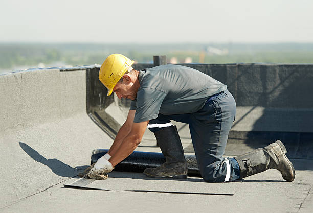 Professional Insulation Contractor in Chebanse, IL